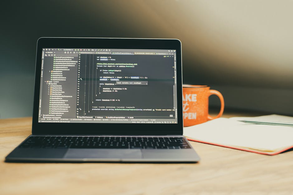 Курсы программирования и дизайна